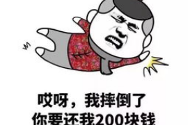 泸州为什么选择专业追讨公司来处理您的债务纠纷？